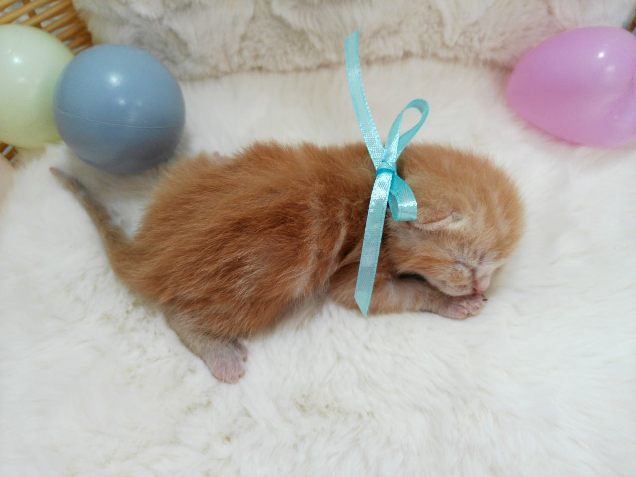 赤ちゃん写真1-3