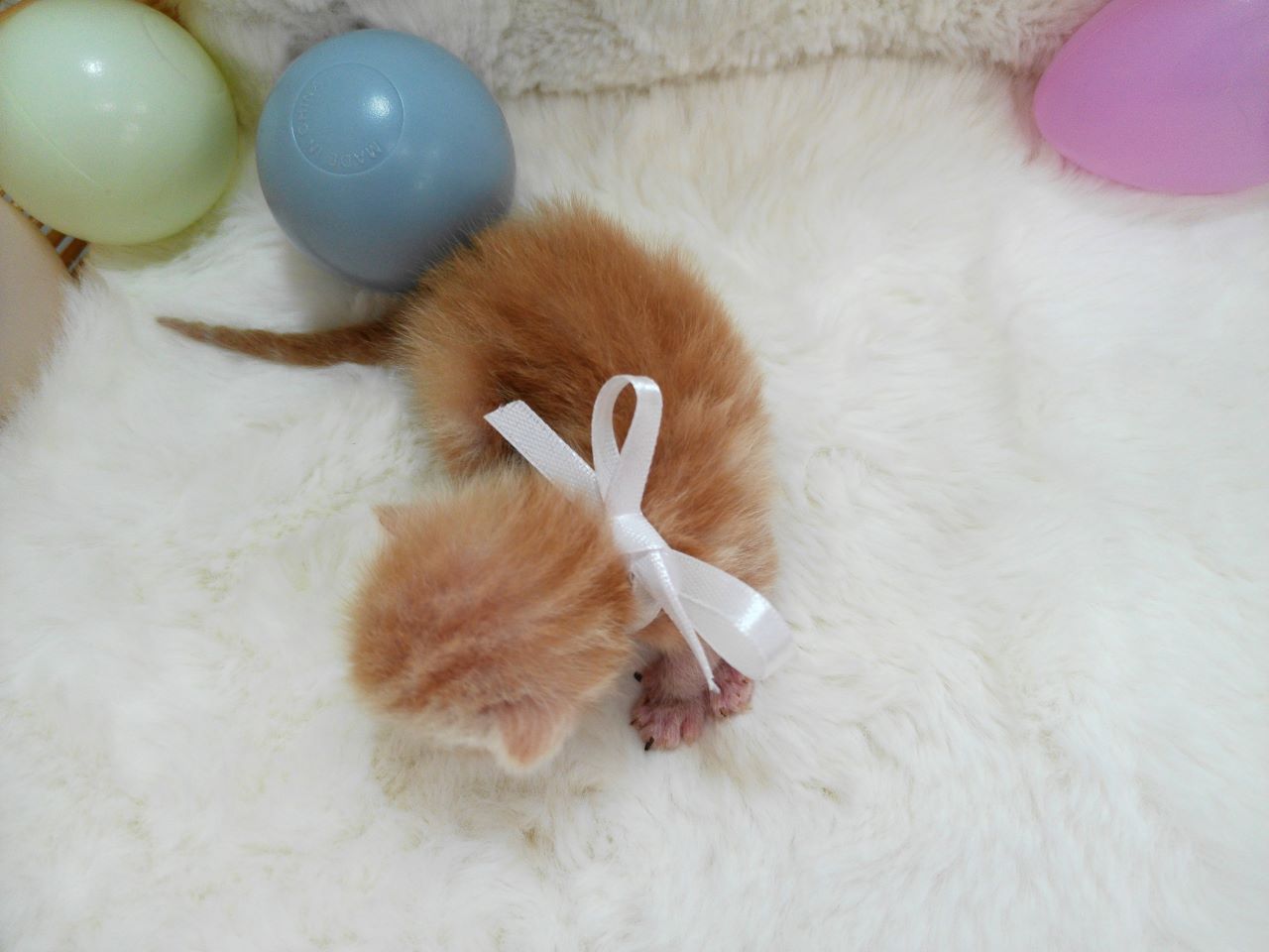 赤ちゃん写真1-3