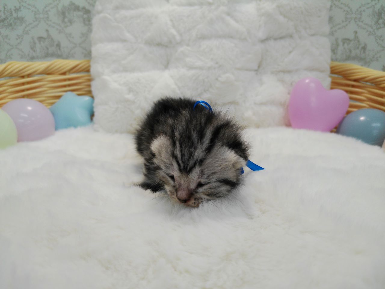 赤ちゃん写真1-1