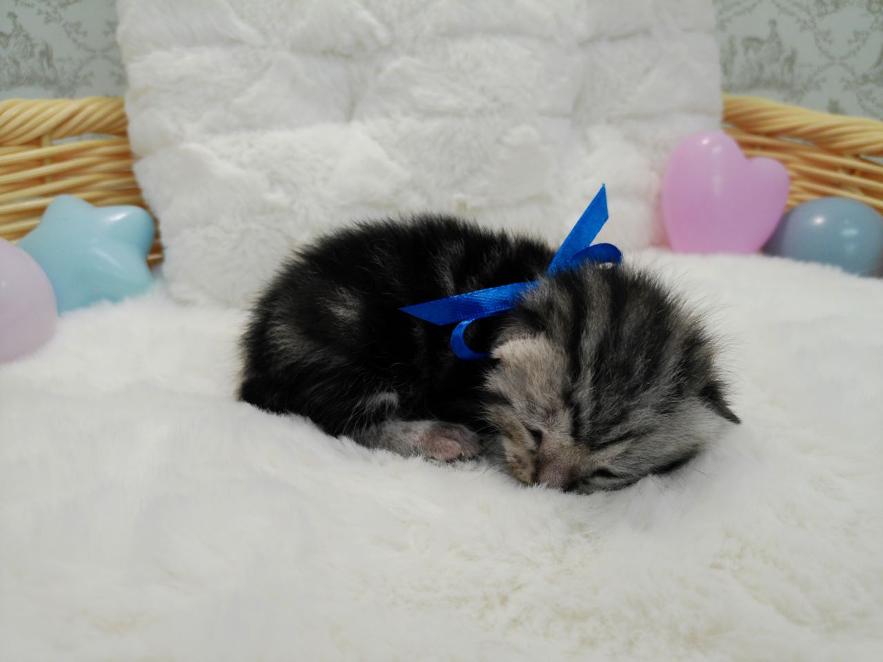 赤ちゃん写真1-2