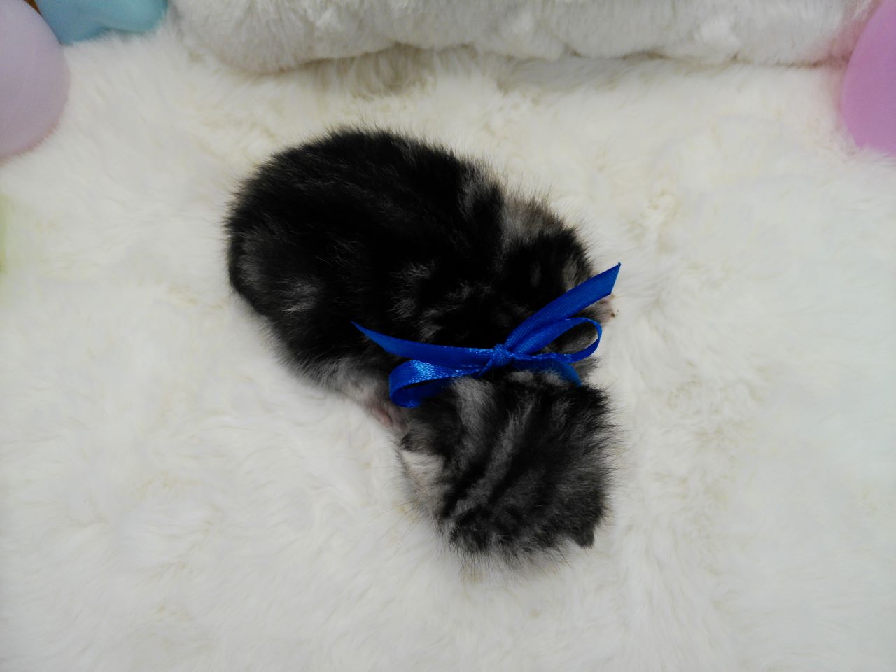 赤ちゃん写真1-3