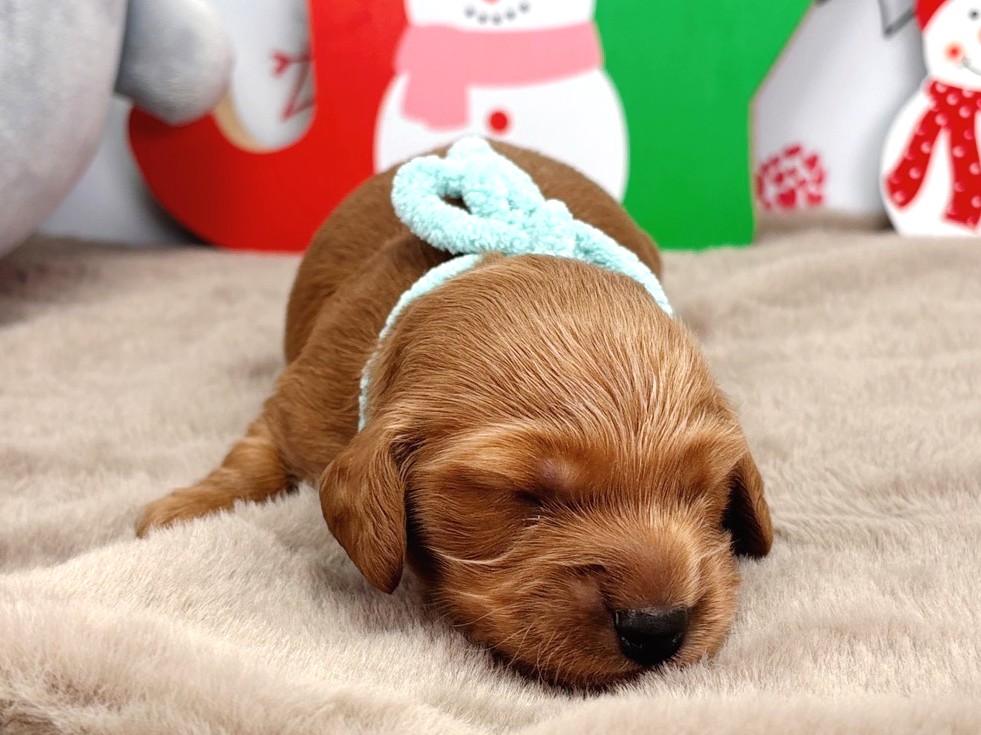 赤ちゃん写真1-1