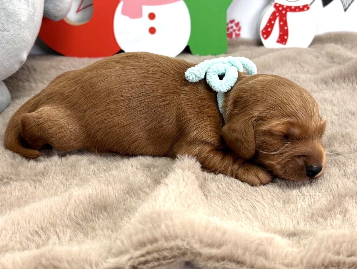 赤ちゃん写真1-2