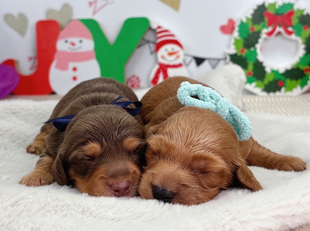 赤ちゃん写真1-3