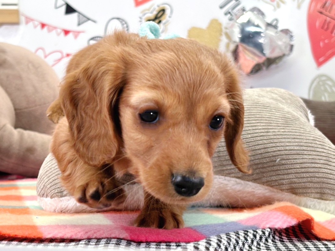 赤ちゃん写真2-1