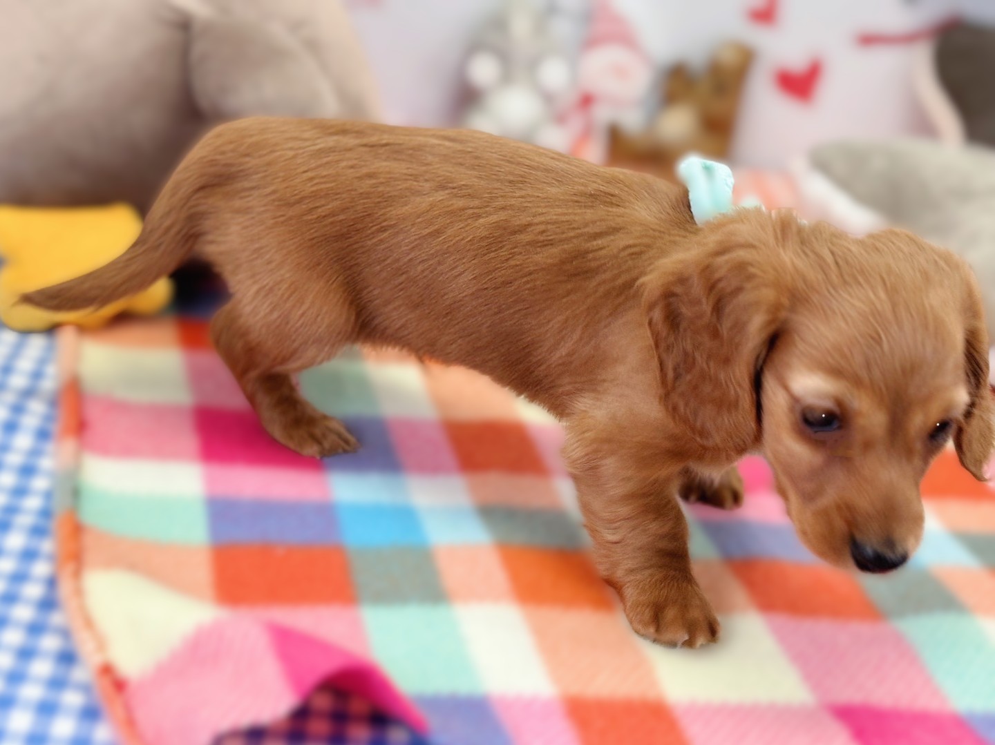 赤ちゃん写真2-2