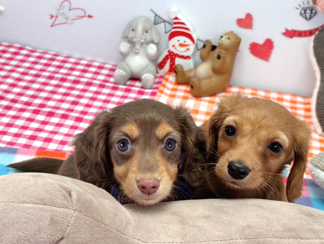 赤ちゃん写真2-3