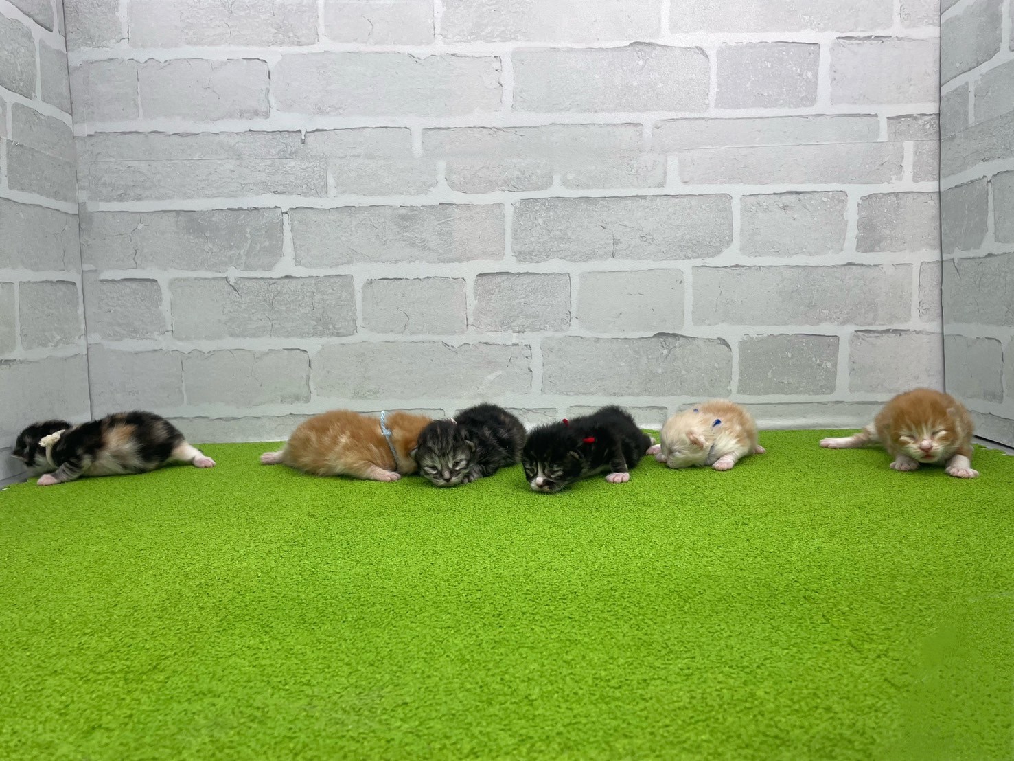 赤ちゃん写真1-3