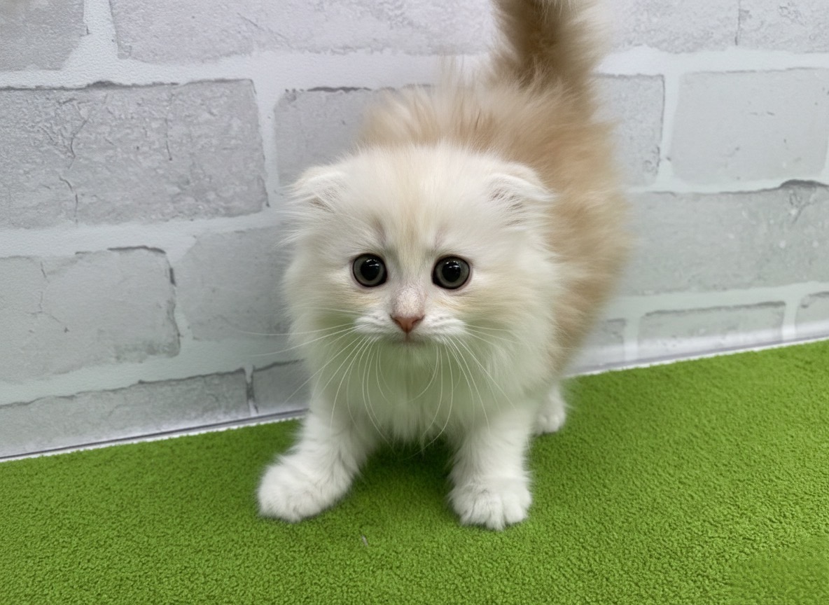 赤ちゃん写真2-1