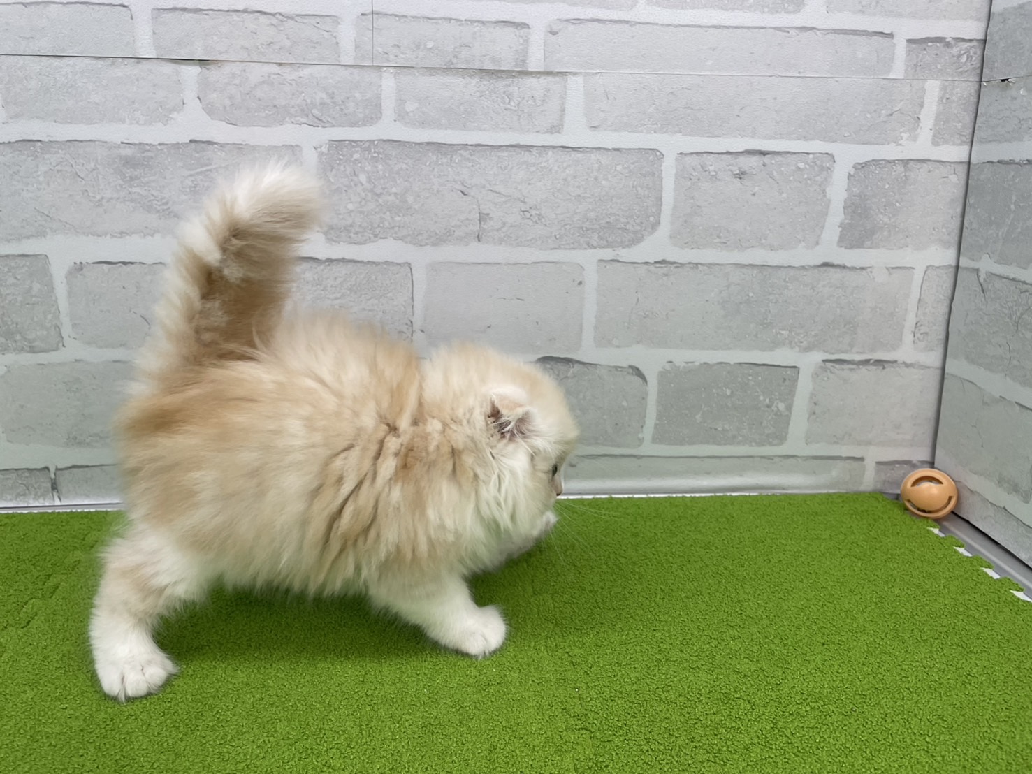 赤ちゃん写真2-2