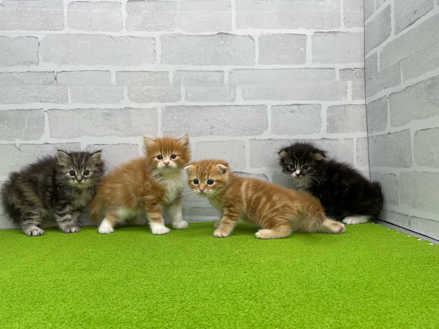 赤ちゃん写真2-3