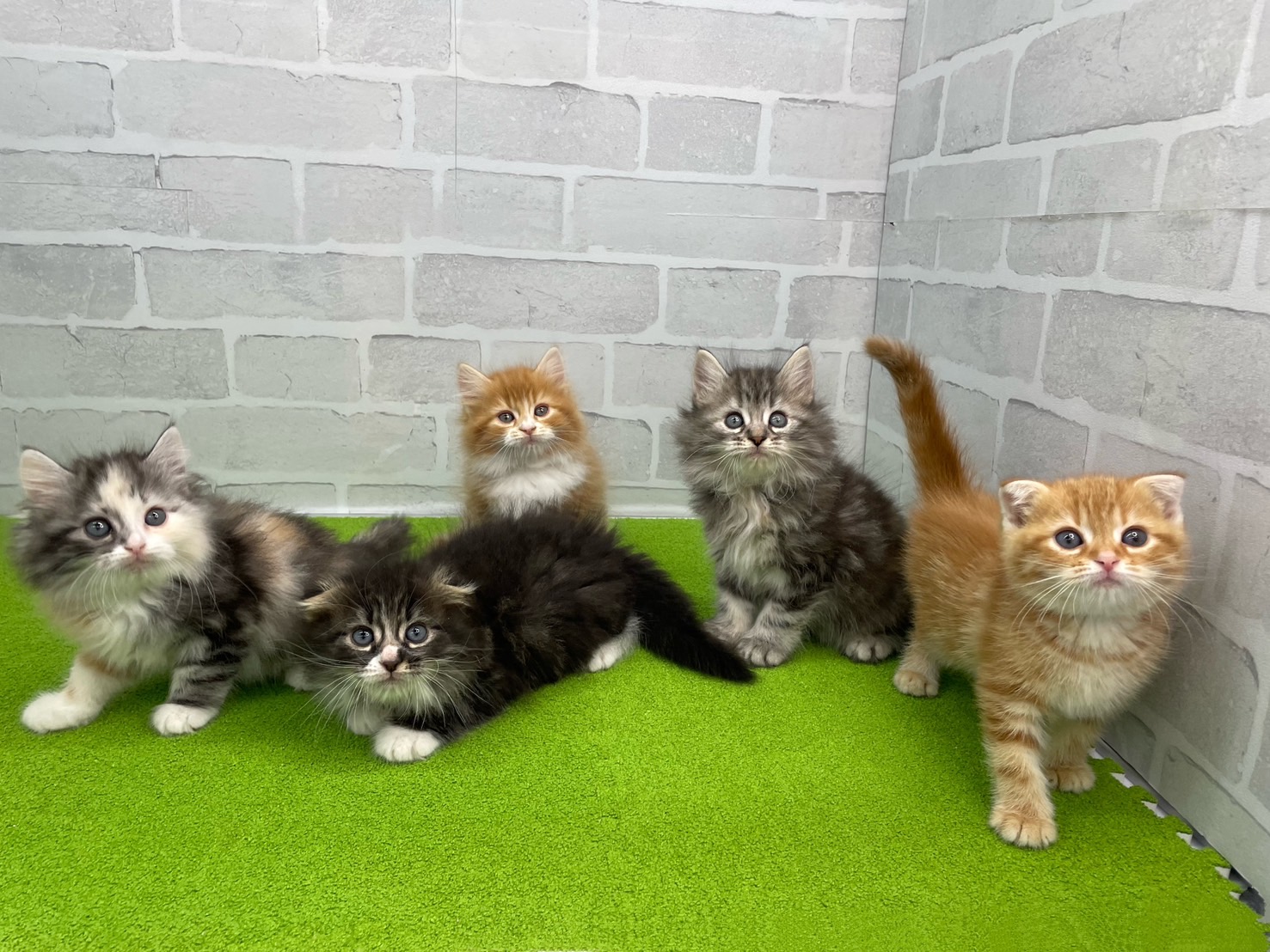 赤ちゃん写真3-3