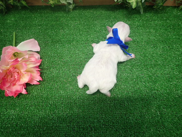 赤ちゃん写真1-3