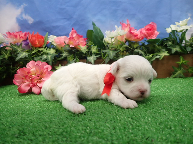 赤ちゃん写真2-2