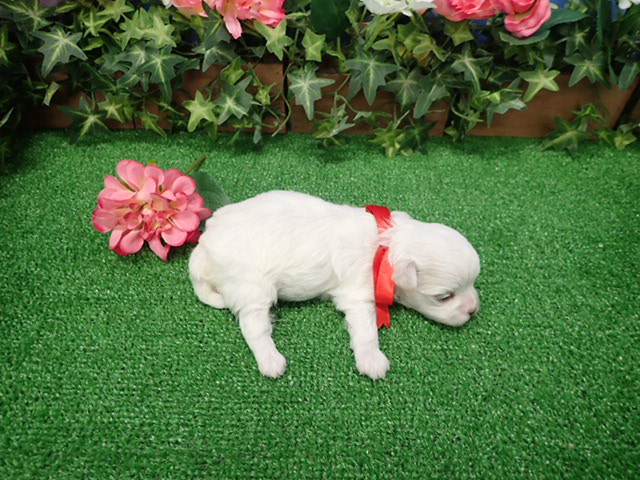 赤ちゃん写真2-3