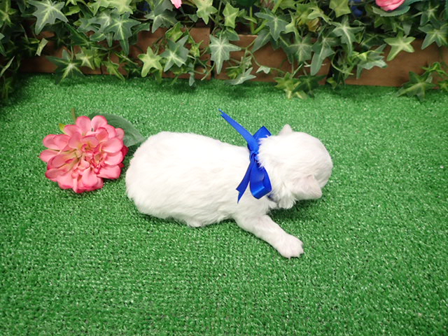 赤ちゃん写真2-3