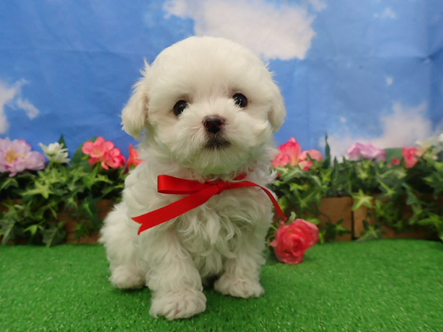 赤ちゃん写真3-1