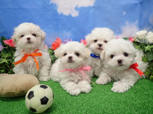 赤ちゃん写真3-3