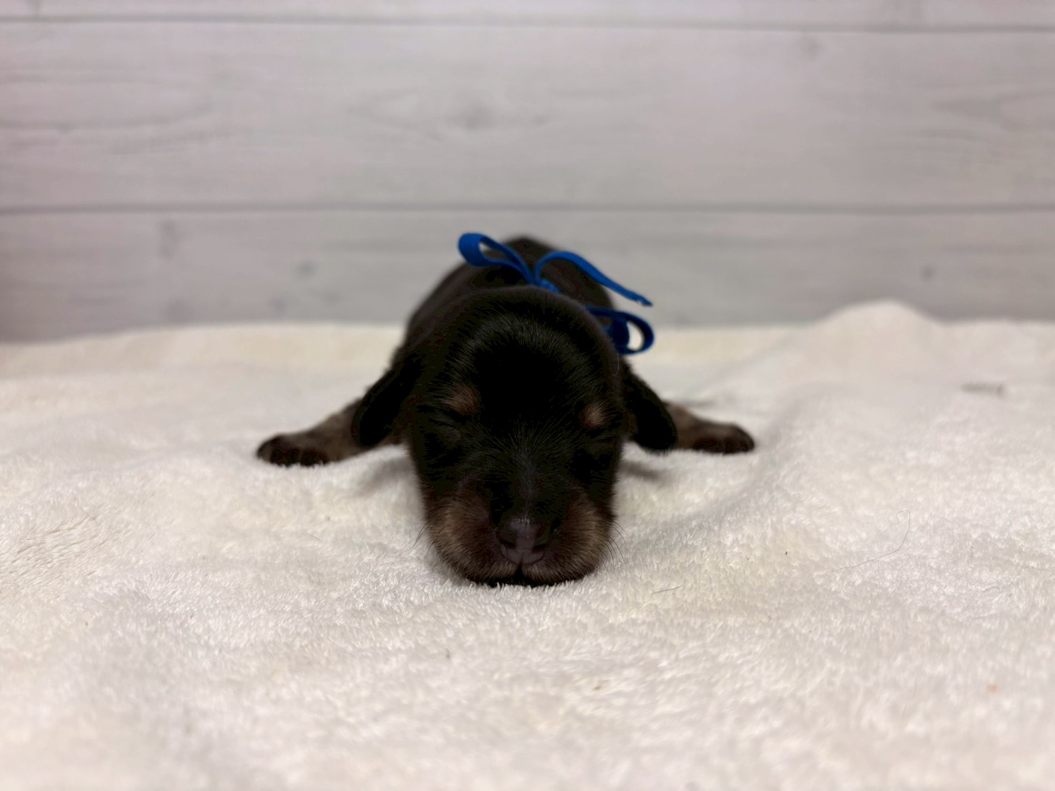 赤ちゃん写真1-1