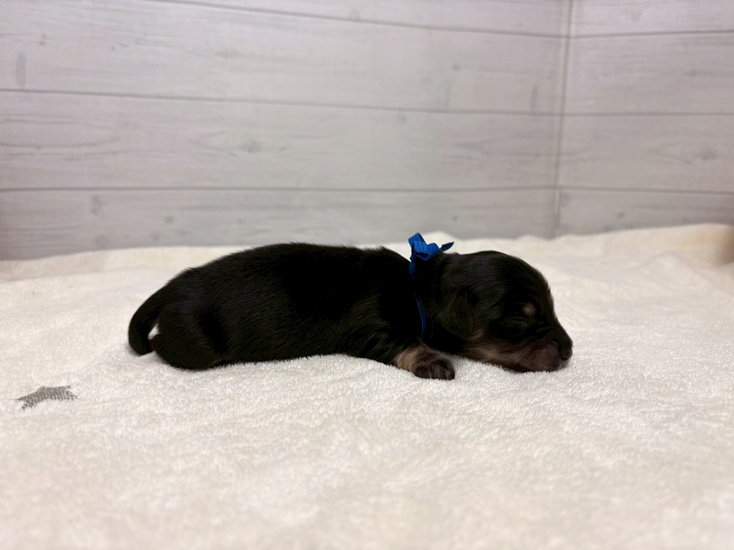 赤ちゃん写真1-2