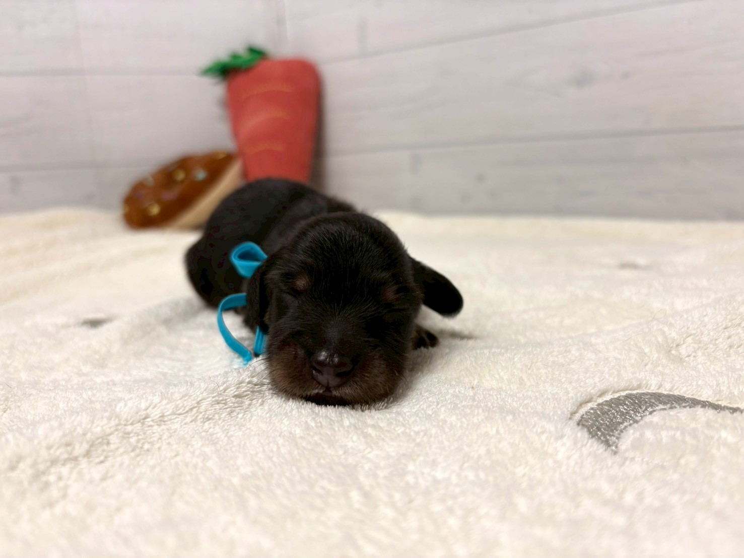 赤ちゃん写真1-1