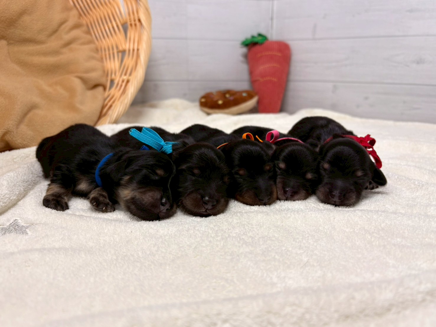 赤ちゃん写真1-3