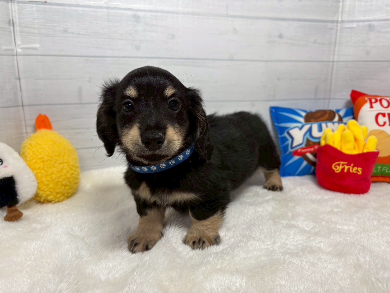 赤ちゃん写真3-1