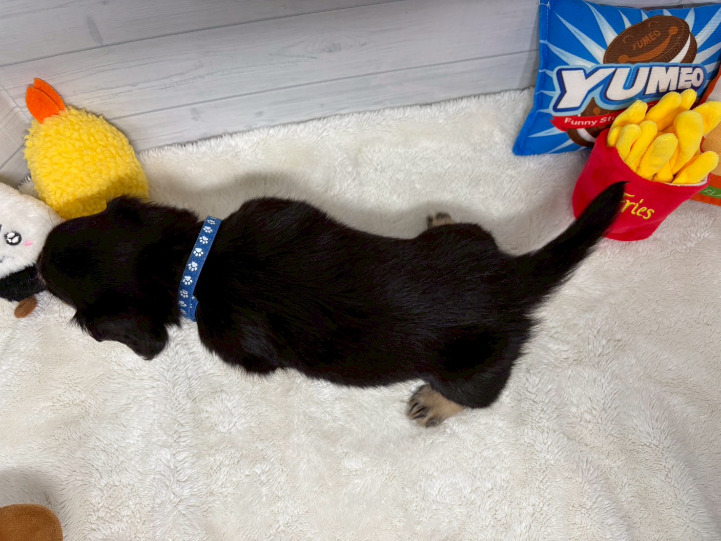 赤ちゃん写真3-3