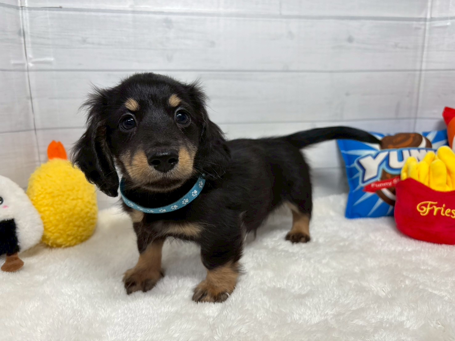 赤ちゃん写真3-1