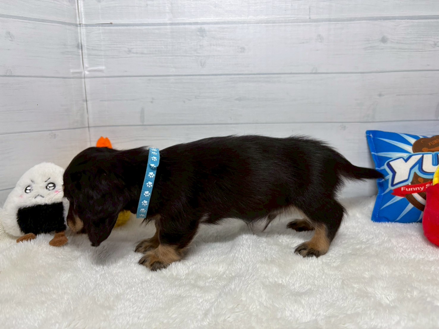 赤ちゃん写真3-2