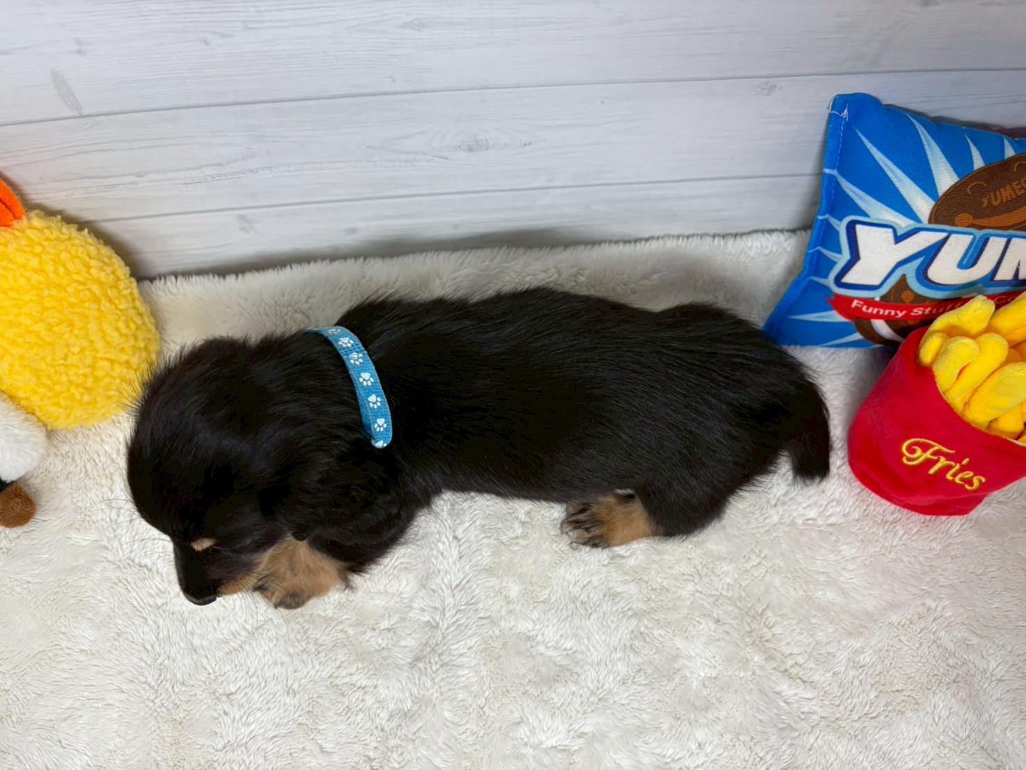 赤ちゃん写真3-3