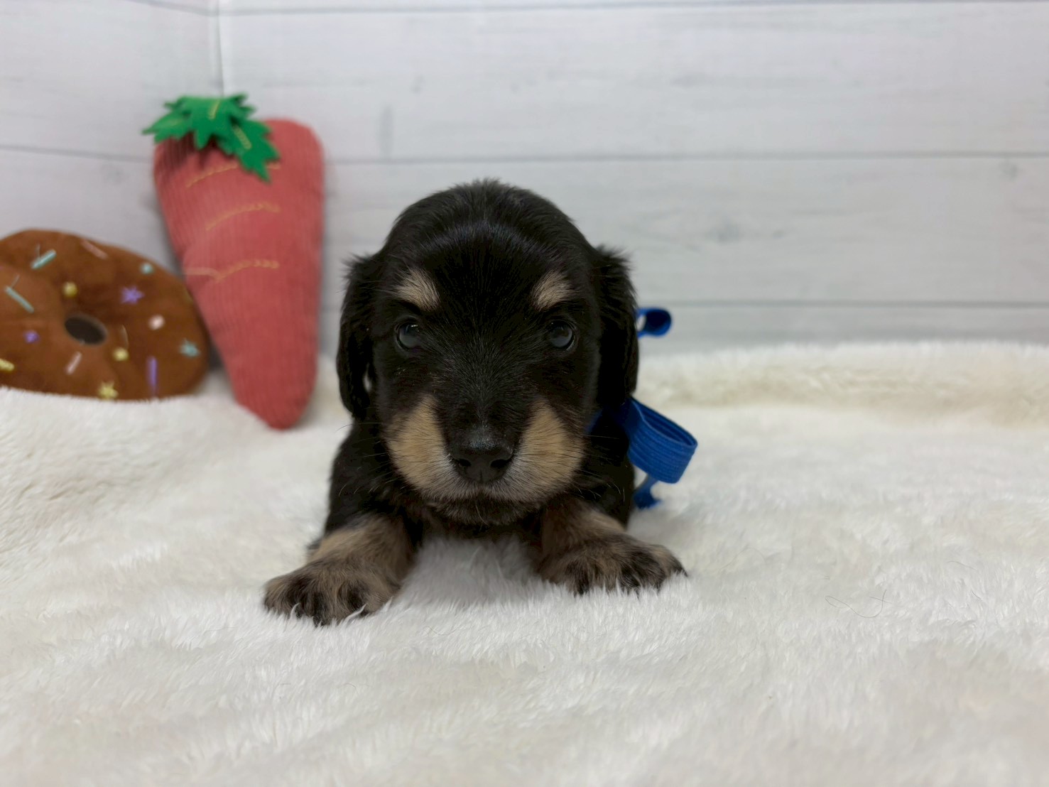 赤ちゃん写真2-1