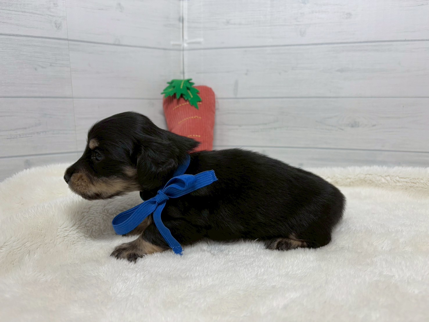 赤ちゃん写真2-2