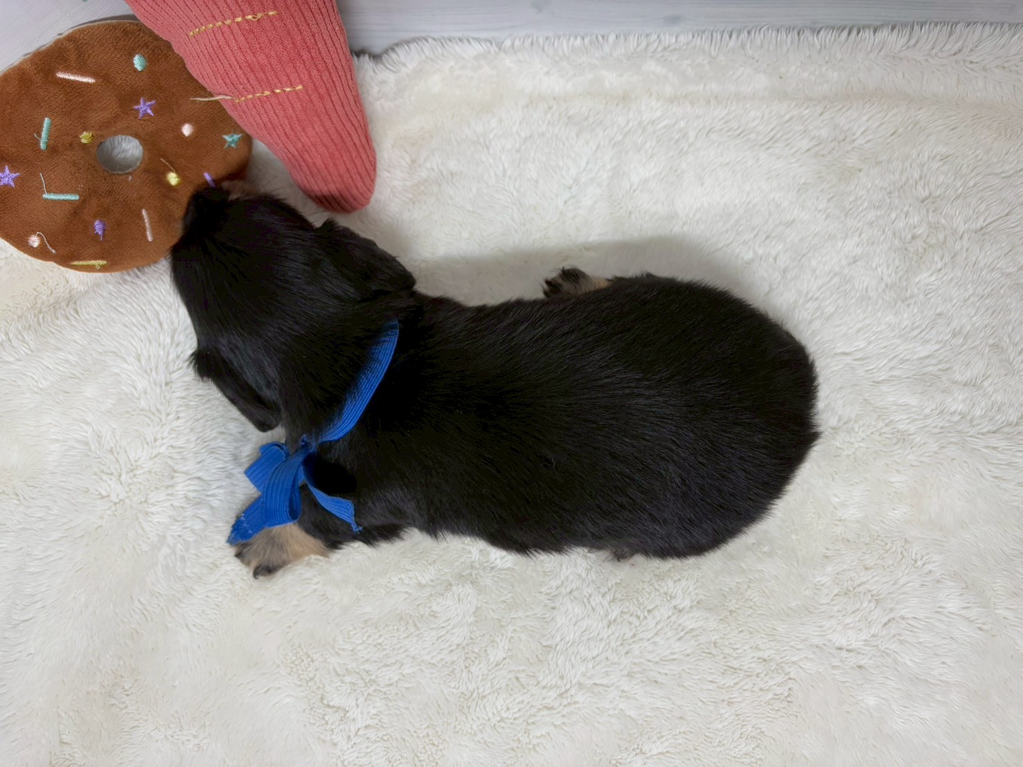 赤ちゃん写真2-3