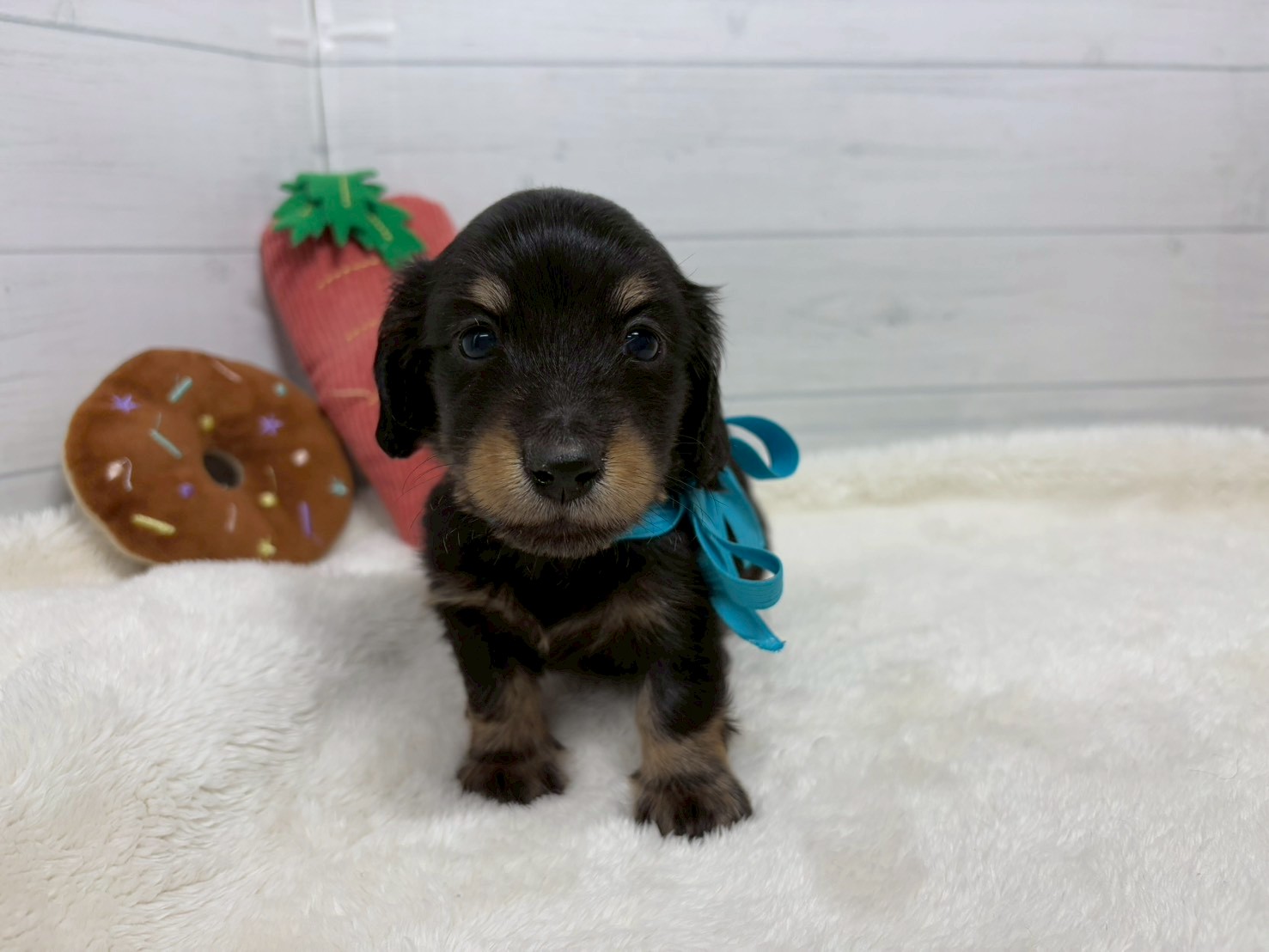 赤ちゃん写真2-1