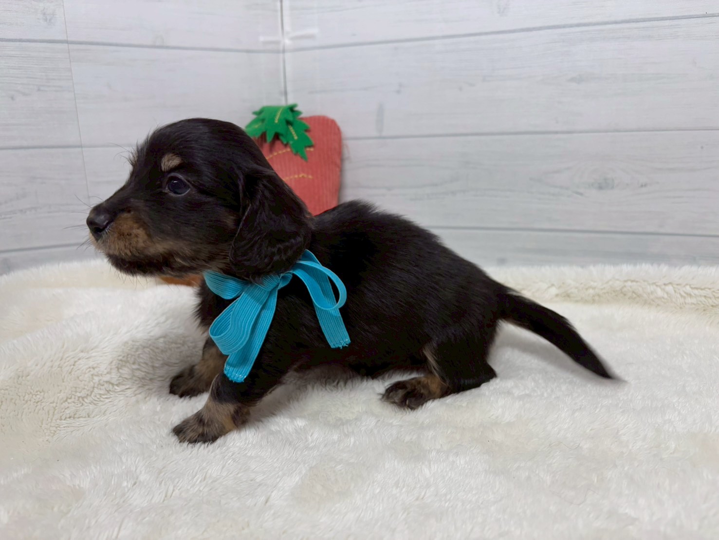 赤ちゃん写真2-2