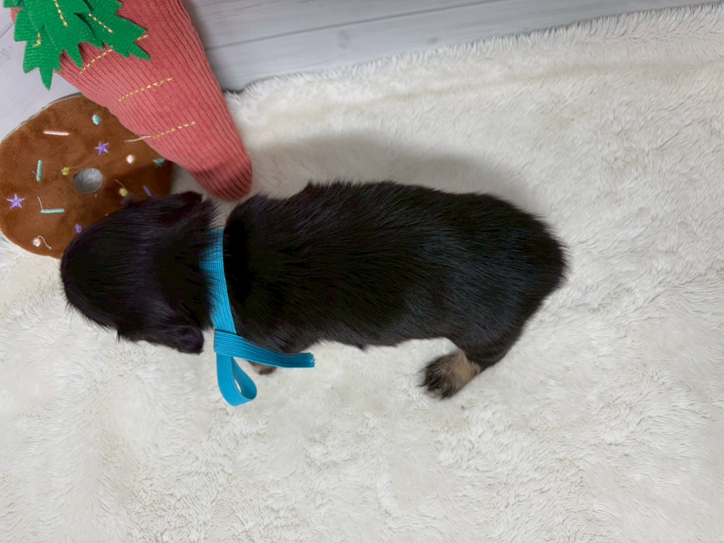 赤ちゃん写真2-3