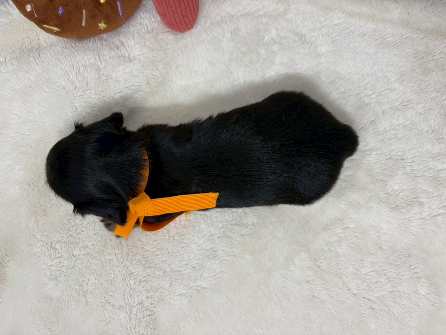 赤ちゃん写真2-3