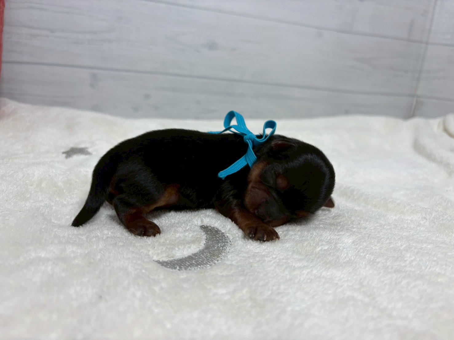 赤ちゃん写真1-2