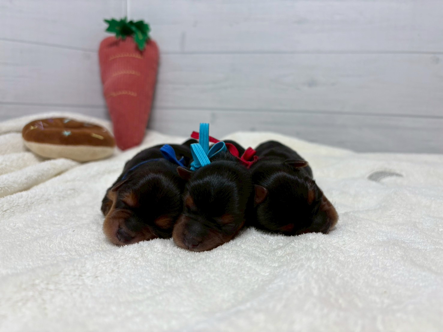 赤ちゃん写真1-3