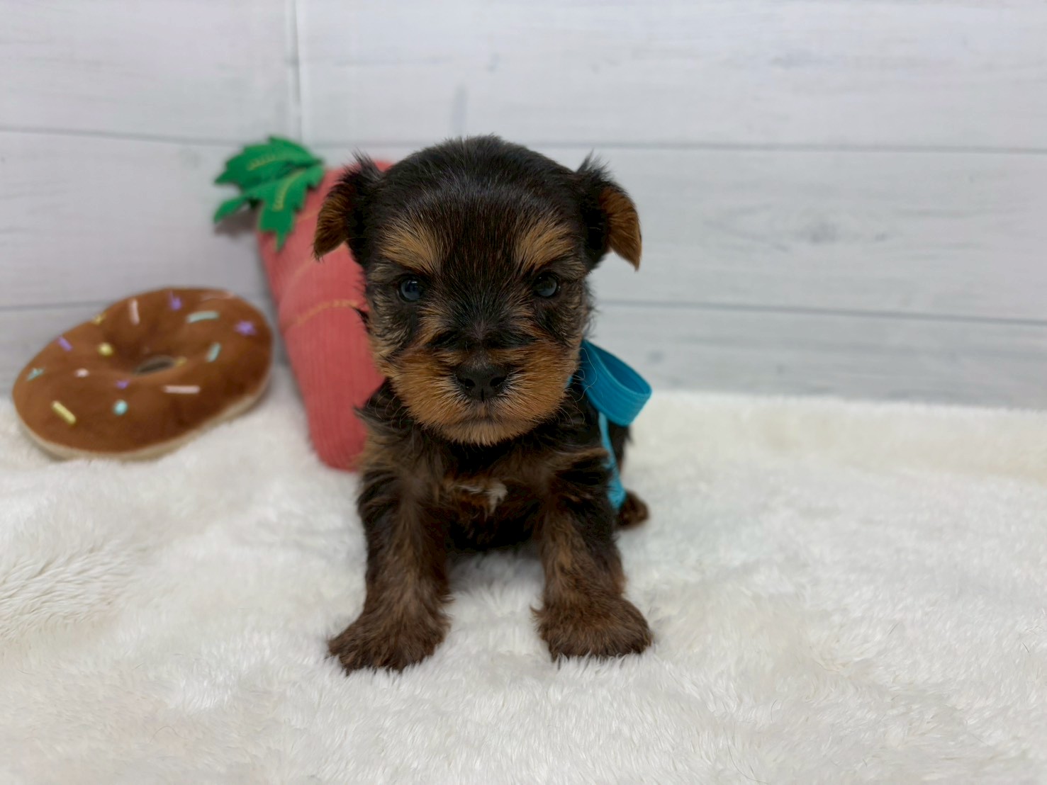 赤ちゃん写真2-1