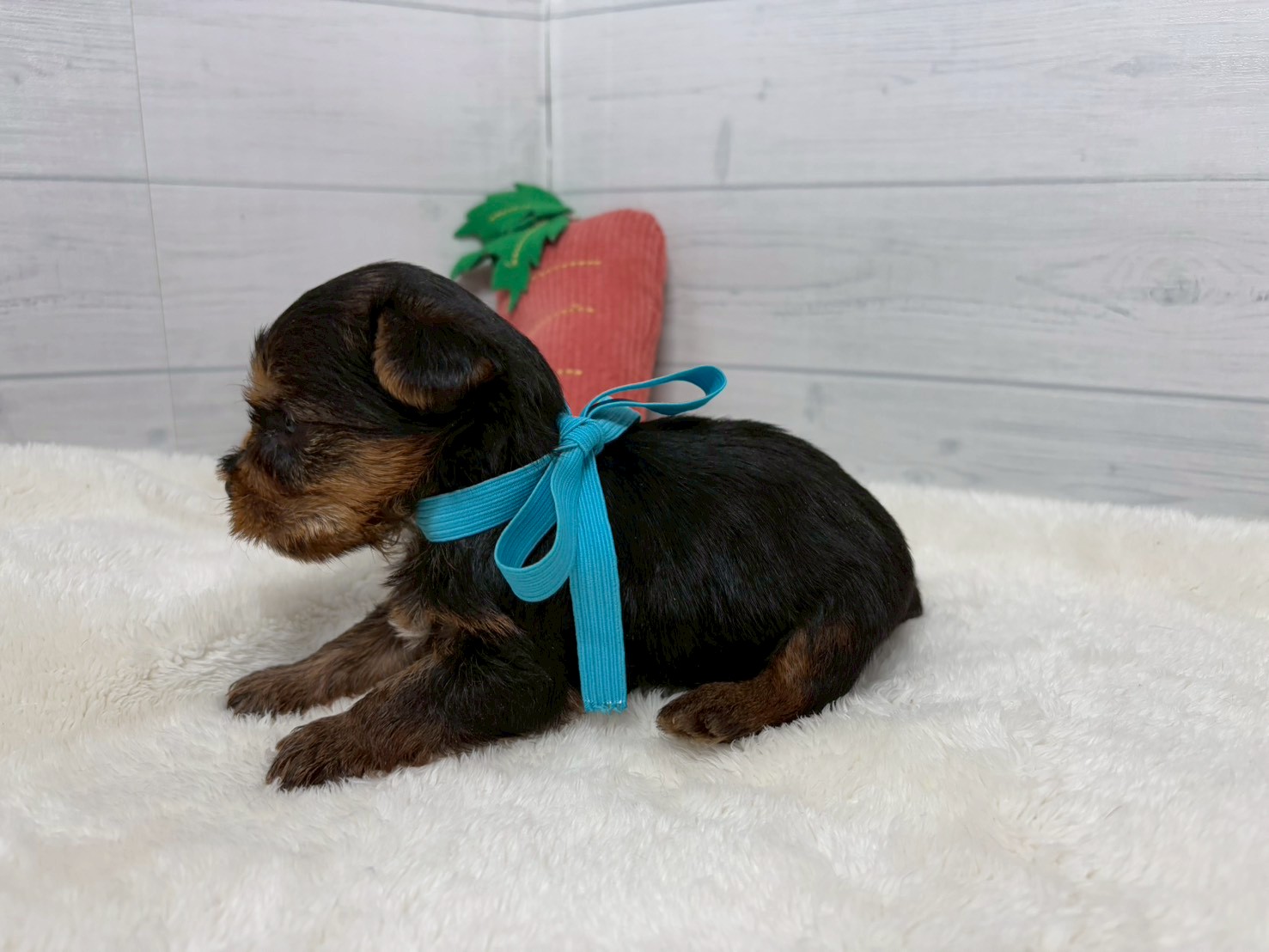 赤ちゃん写真2-2