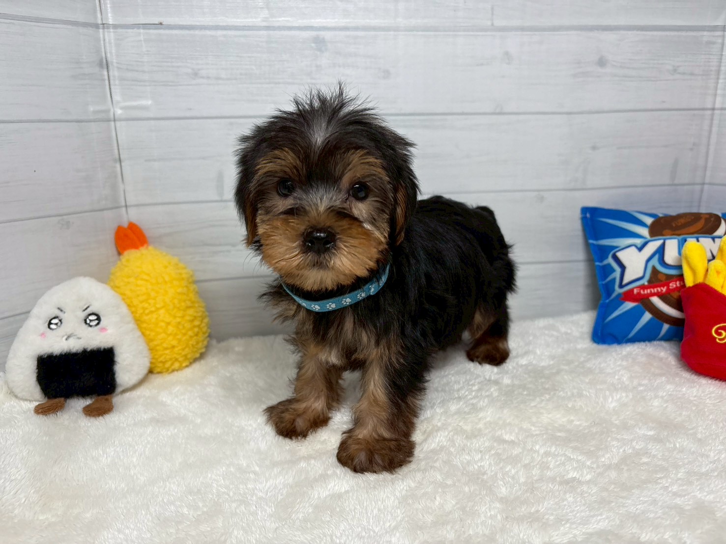 赤ちゃん写真3-1