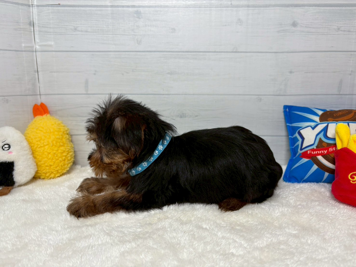 赤ちゃん写真3-2