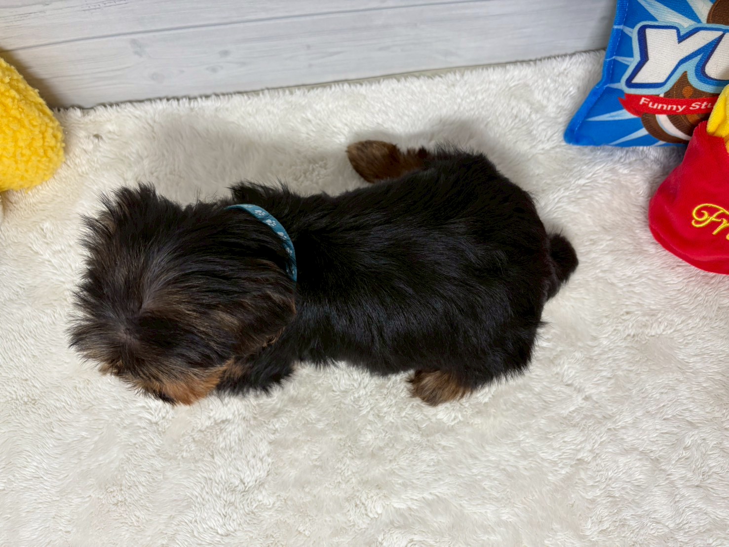 赤ちゃん写真3-3