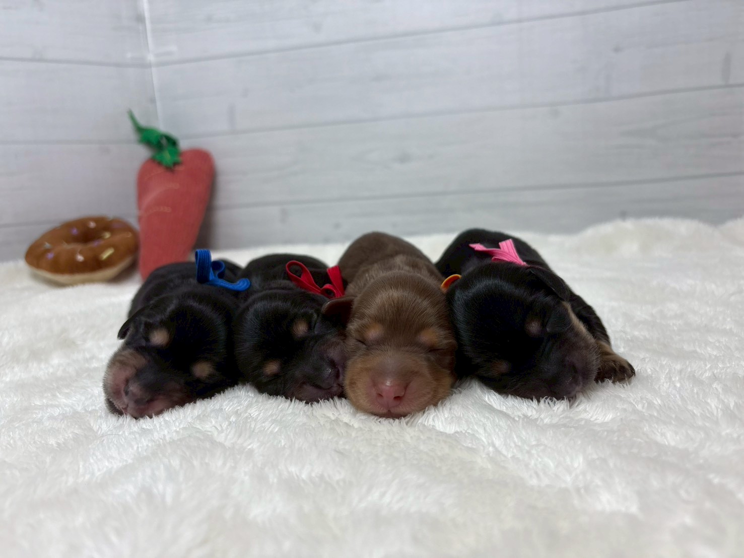赤ちゃん写真1-3