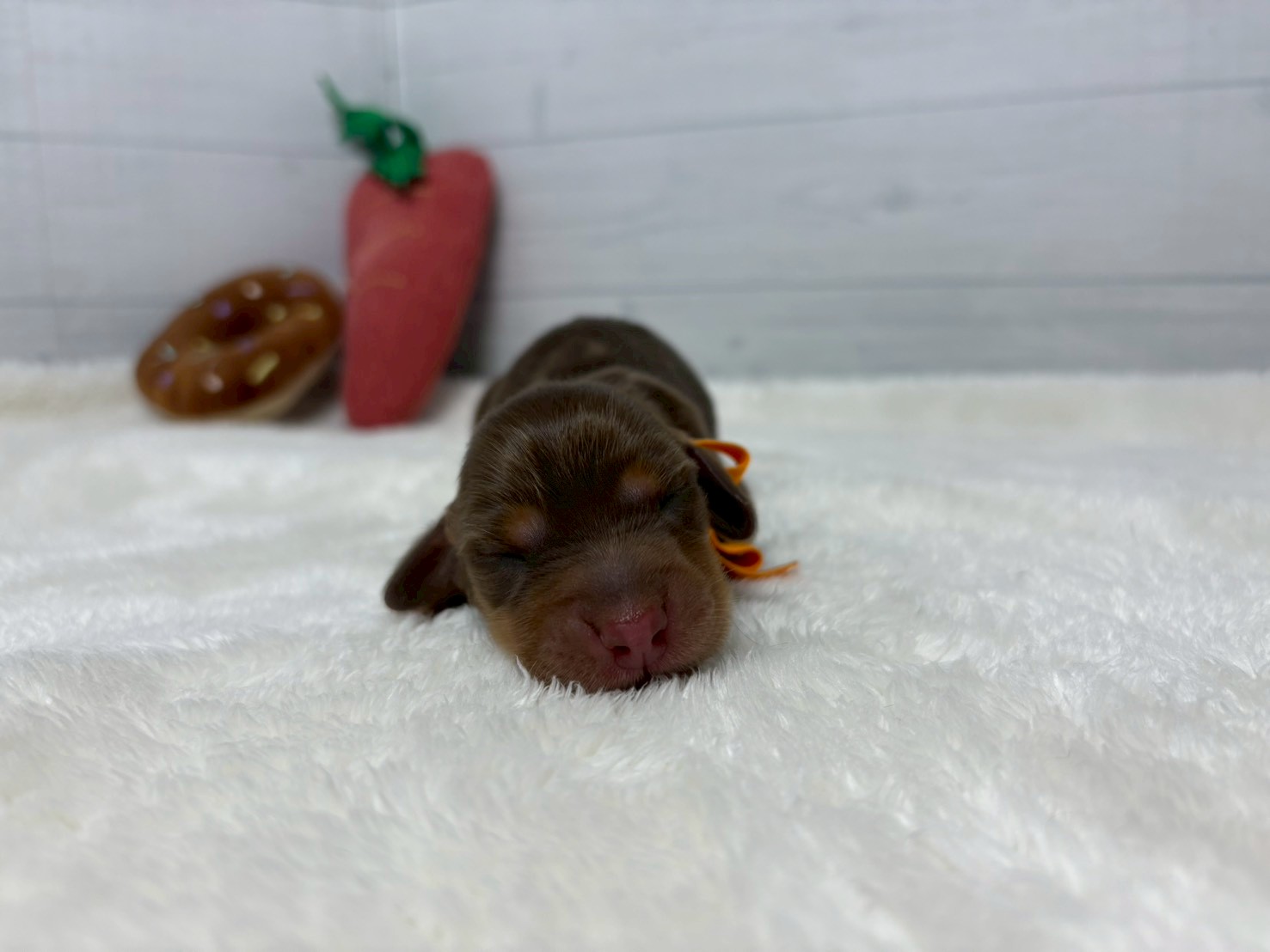 赤ちゃん写真1-1