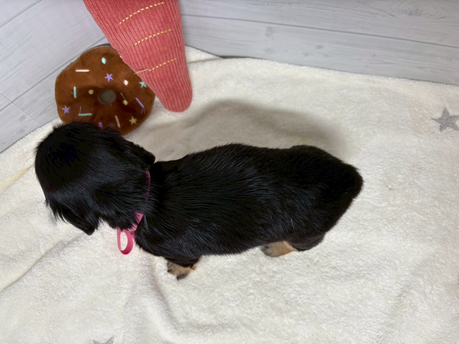 赤ちゃん写真2-3