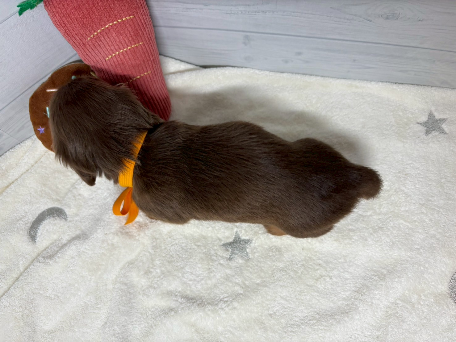赤ちゃん写真2-3