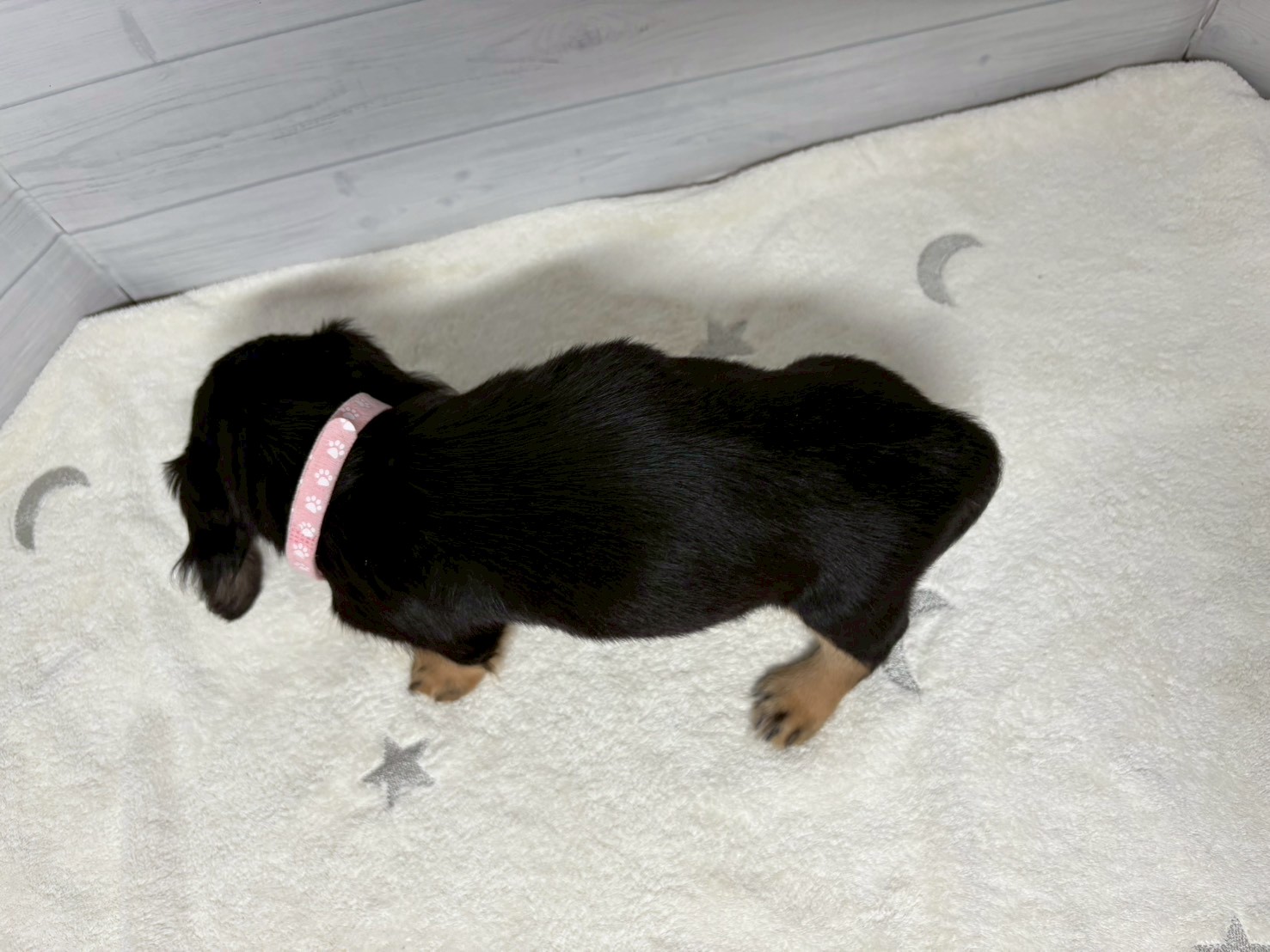 赤ちゃん写真3-3